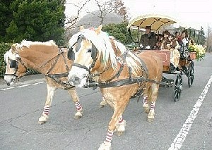 ２ 歳っ娘がニュースを読んだら 地域編 ２頭立て馬車が登場 アフリカンサファリ